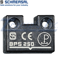 BPS250